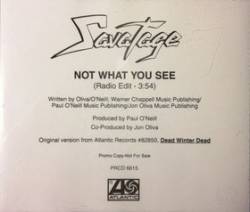Savatage : Not What You See